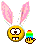 bunny-1